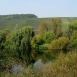 0909F 057 Mainschleife